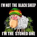 Bradd Ladd
