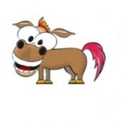 Channel Do Pangaré