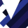 pidscar