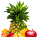 adexagro
