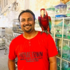 Divyang Patel