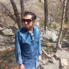 fariborz
