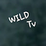WILD TV