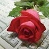 Mostafa -