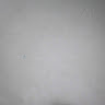 netpal org
