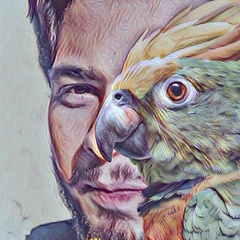 Net Hussnain