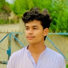 Abid zada