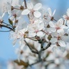 Maj2026